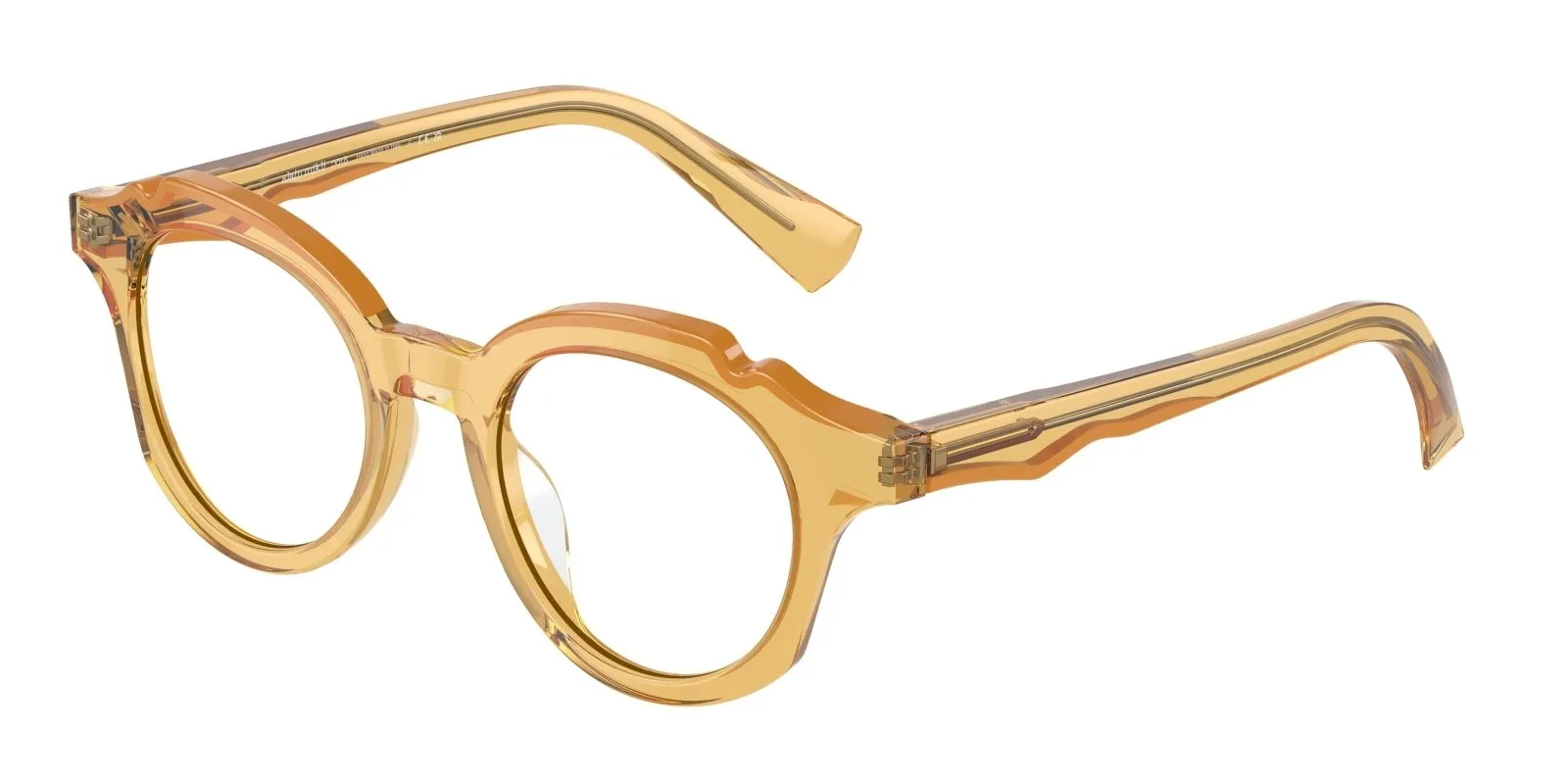 Alain Mikli 3165 Eyeglasses