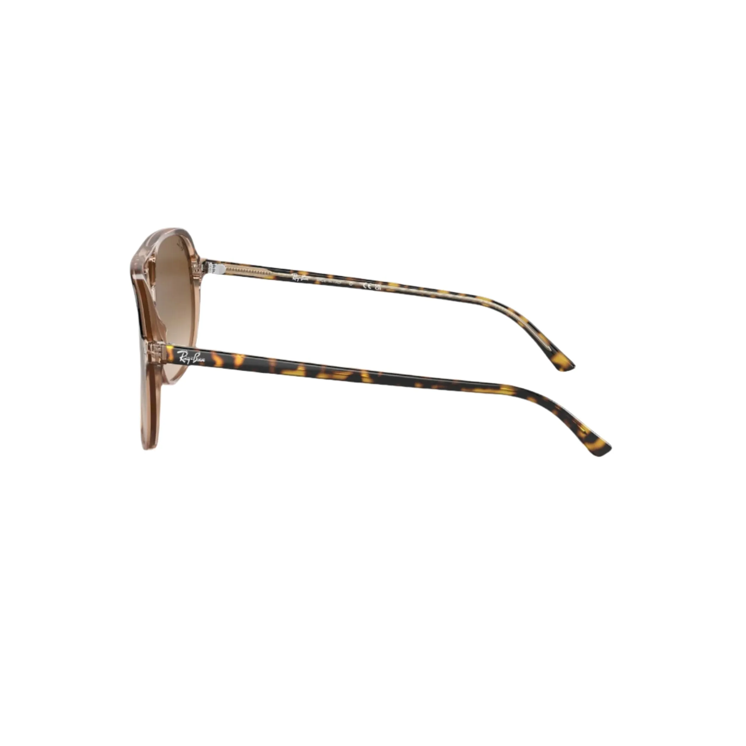 Havana On Transparent Brown Bill Sunglasses