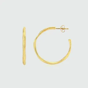 Olivera Medium Gold Vermeil Hoop Earrings